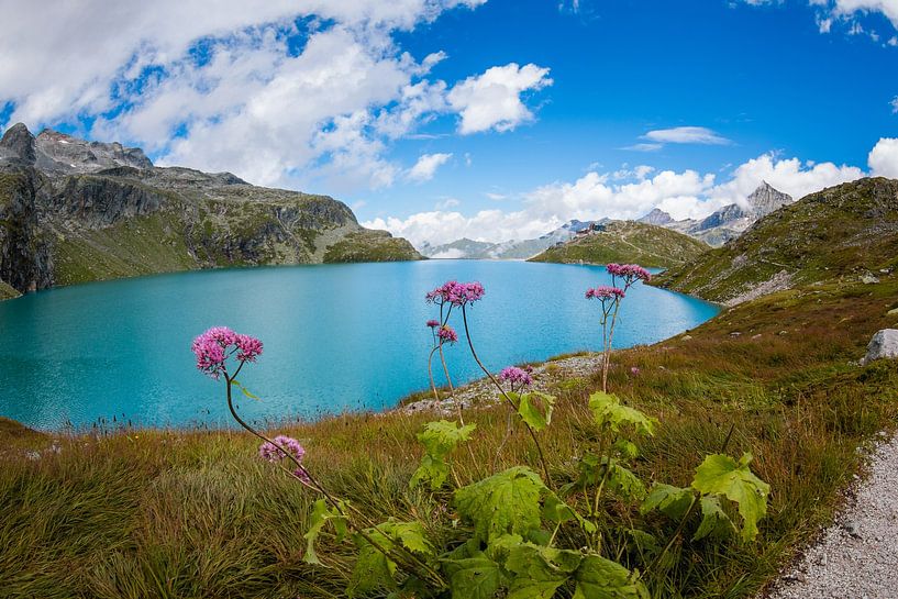 Berg bloemen bij berg meer van Pieter Bezuijen