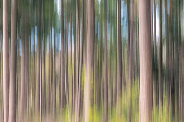 Impressionistic forest