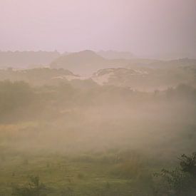 Landschaft mit Nebel von Angelique Rademakers