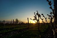 zonsondergang landschap