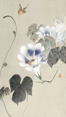 Insects near bindweed (1900 - 1930) by Ohara Koson