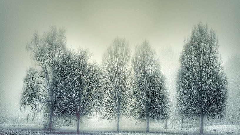 Park bomen  by Kunst van Karin