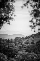Toscaanse landschap