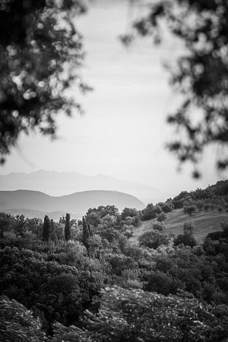 Toskanische Landschaft