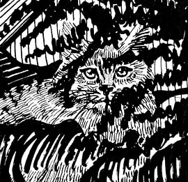 Cat in the woods by Antje Wauer