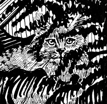 Katze im Wald