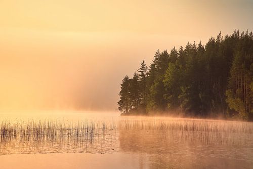 Zonsopgang met mist boven een meer in Zweden, bij zonsopgang