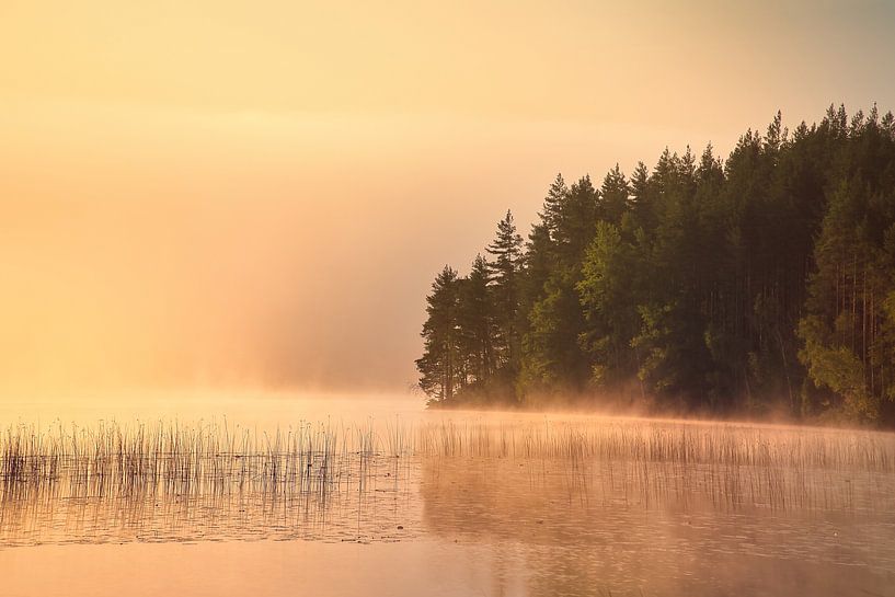 Lever de soleil avec formation de brouillard sur un lac en Suède, à l'aube par Martin Köbsch