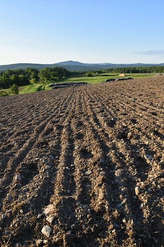 Een tuin geploegd in het voorjaar