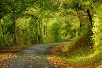 Route de campagne près de Chabenet (France)