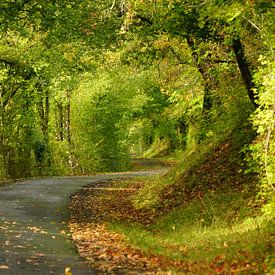 Landstraße bei Chabenet (Frankreich) von Jan Nuboer