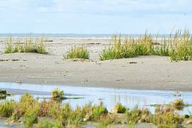 Land und Wasser von Eva Overbeeke