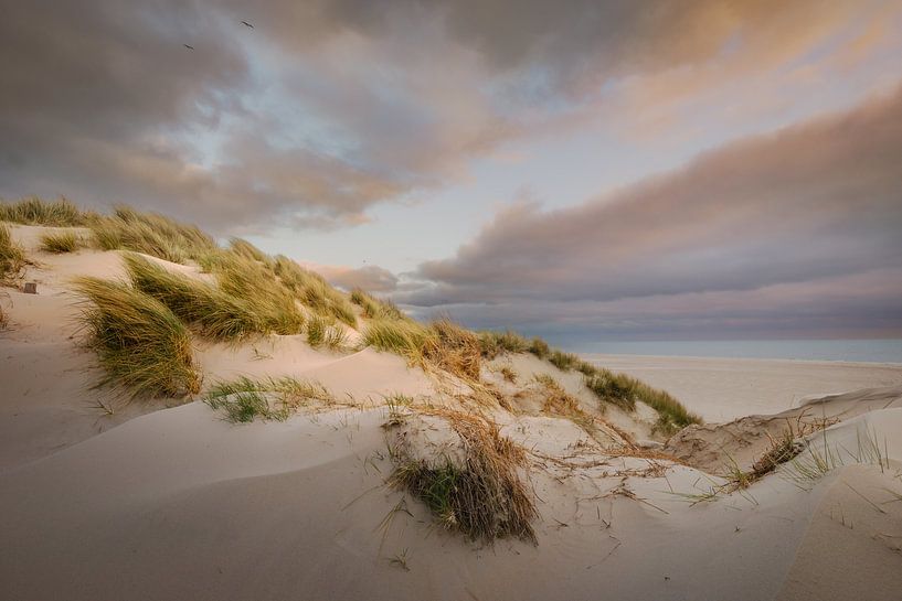 The dunes of Texel by Andy Luberti