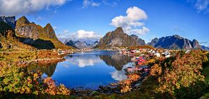 Herbst in Reine auf den Lofoten - Norwegen