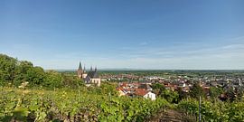 Oppenheim on the Rhine, Rhinehessen by Ralph Rainer Steffens