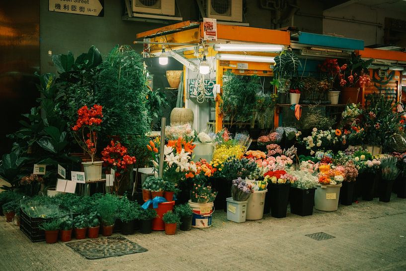 Blumenvielfalt in Hongkong: Marktleben und Farbrausch von NZME Photography