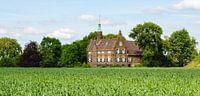 Schloss Meeuwen im niederländischen Dorf Meeuwen von Ruud Morijn Miniaturansicht