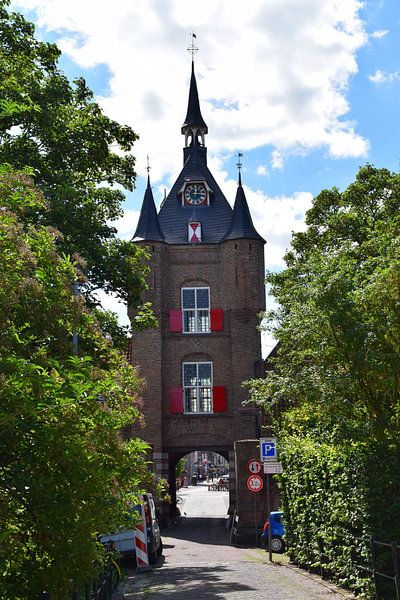 Vianen Utrecht Stadtzentrum von Hendrik-Jan Kornelis