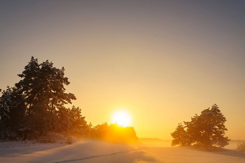 Snowy winter landscape in a drifting sand dune area by Sjoerd van der Wal Photography