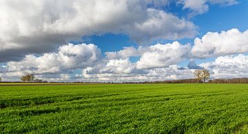 Groene landerijen met fraaie wolkenlucht in Nederland van Ron Van der Wal
