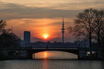 Tussen licht en leven