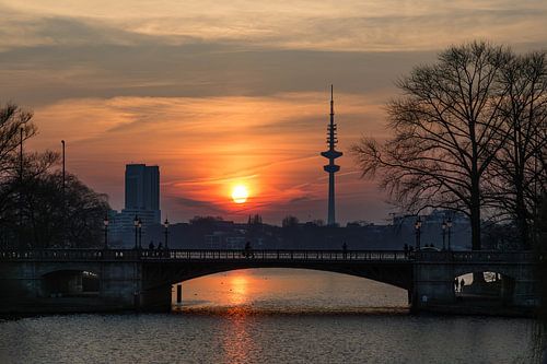 Between light and life