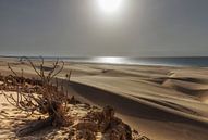 Boa Vista sand dunes von Giovanni della Primavera Miniaturansicht