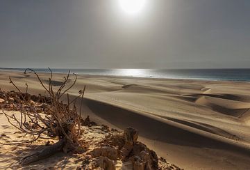 De zandduinen van Boa Vista