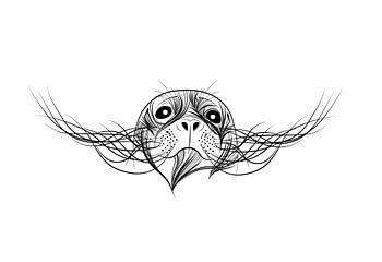 Poster zeehond - Terschelling - zwart wit