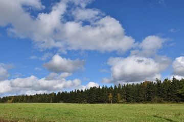 Ein Feld unter einem Herbsthimmel von Claude Laprise