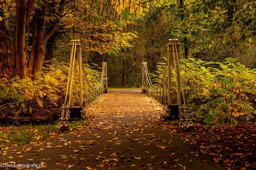 Herbst von Henk Veenstra