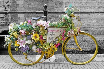 fleurige fiets in Gouda
