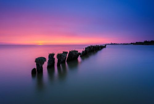 Zeewering in het IJsselmeer
