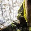 Foto von der Rückseite des Wasserfalls im Park Sonsbeek von AdWF