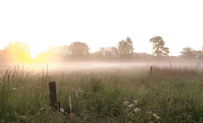 a beautiful morning by Marcel Derweduwen