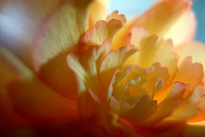 faire briller le soleil (1)