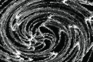 Ohne Titel