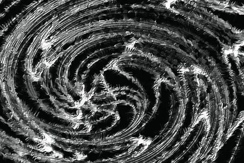 Ohne Titel