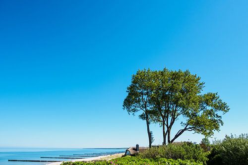 Strand an der Ostsee bei Ahrenshoop