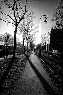 Tegenlicht op de Utrechtse Catharijnesingel