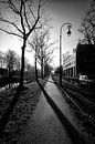 Tegenlicht op de Utrechtse Catharijnesingel van André Blom Fotografie Utrecht thumbnail
