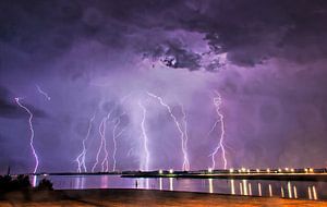 Purpur-Regen von Bas Groenendijk