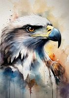 EAGLE WATERCOLOR