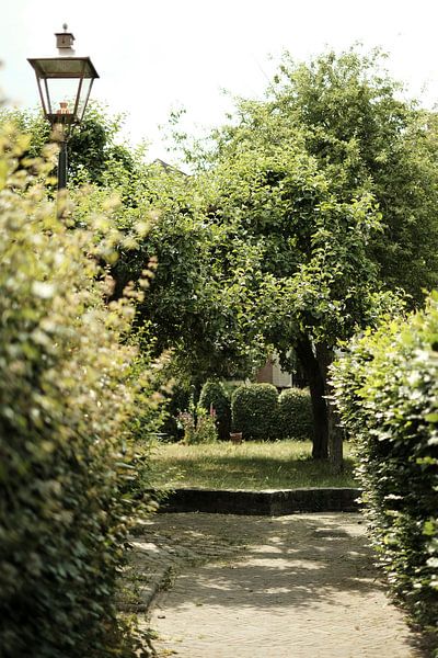 Parc vert dans la ville hanséatique de Zutphen | Pays-Bas | Photographie de nature par Diana van Neck Photography