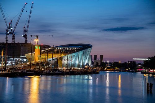 Nemo l'heure bleue en été