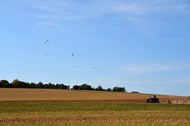 Das Flying Buffet ist geöffnet von FotoGraaGHanneke