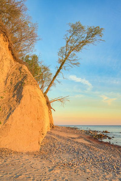 Steep coast near Warnemünde by Michael Valjak