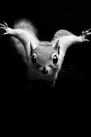 Eichhörnchen von Poster Art Shop