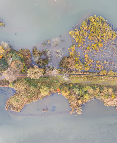 Mistige herfstochtend in de Biesbosch van bovenaf