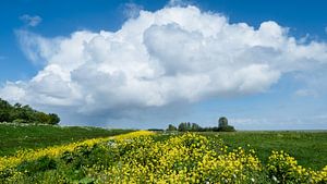 Westfriesische Landschaft